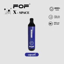 fof x space disposable Blueberry
