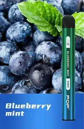 blueberry-mint