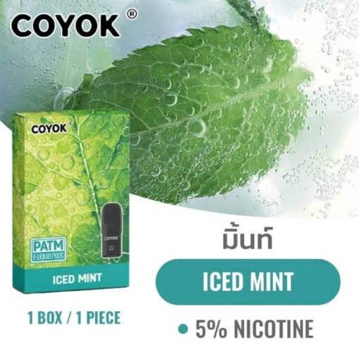 coyok pod relx infinity iced mint