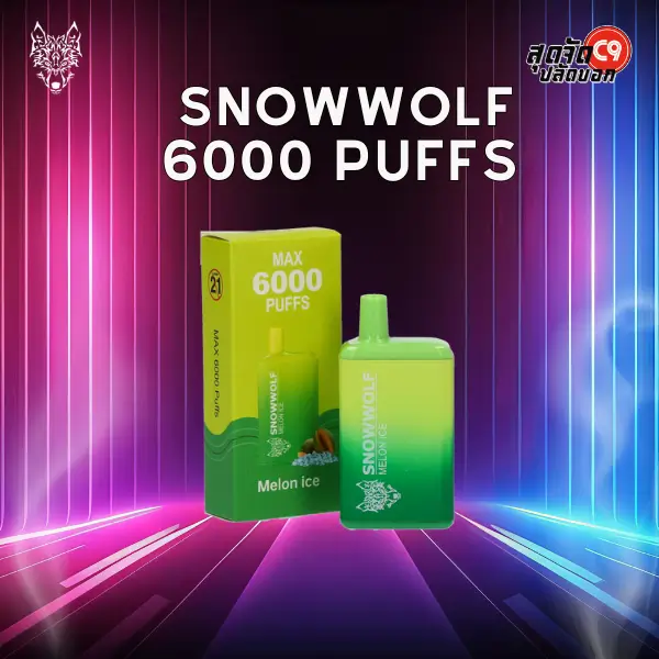 Snowwolf 6000 puffs melon ice