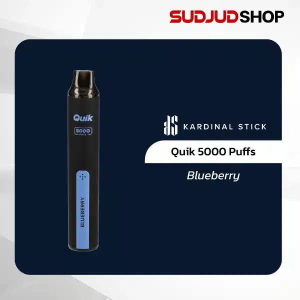 ks quik 5000 puffs blueberry